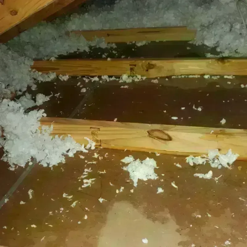 Attic Water Damage in Brooklyn Park, MN